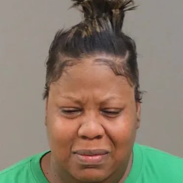 danboifly's profile picture. here for the show