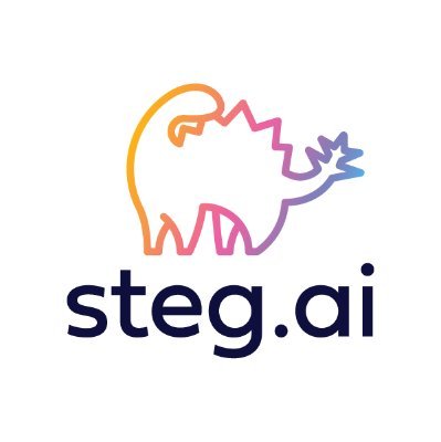 Marketing @Steg.AI Profile
