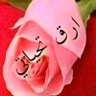 shqiuo's profile picture. موظف
