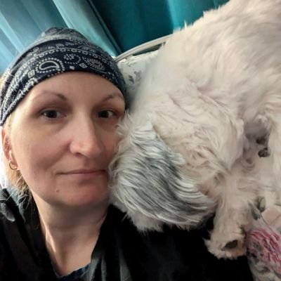 Renatabidness's profile picture. Professional driver, animal loving American.