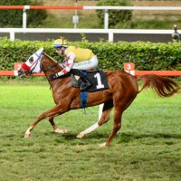 Mehmet Yaşar (@myasar6326) 's Twitter Profile