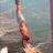 boff1309's profile image