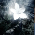 quasy (@quasyfps) Twitter profile photo quasy (@quasyfps) Twitter profile photo