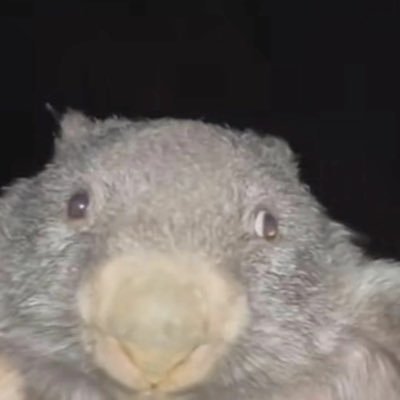 marticsgo's profile picture. dgaf