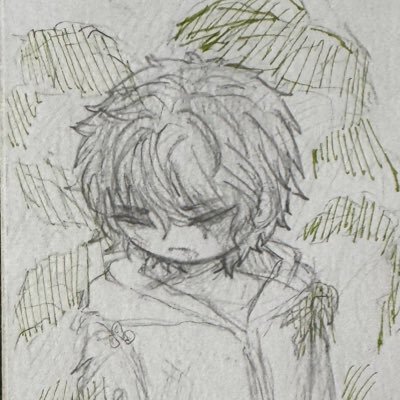 Kiwi | They/Them | INTP | English, average | 华语,听得懂,看得懂,只是沟通能力完全不行| Asia | rtw heavy | Multi-fandom | Wind-Breaker | HOK | The Newbie Is Too Strong |