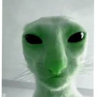 Spacy (@spacyx0012) 's Twitter Profile