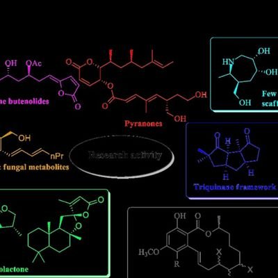 snandalab's profile picture. Natural products synthesis lab @ IIT Kharagpur