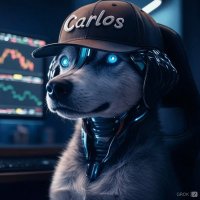 Carlos (@carlitogrande1) 's Twitter Profile