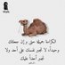 الاسطوره بافعالي (@kfdcg68453) Twitter profile photo الاسطوره بافعالي (@kfdcg68453) Twitter profile photo