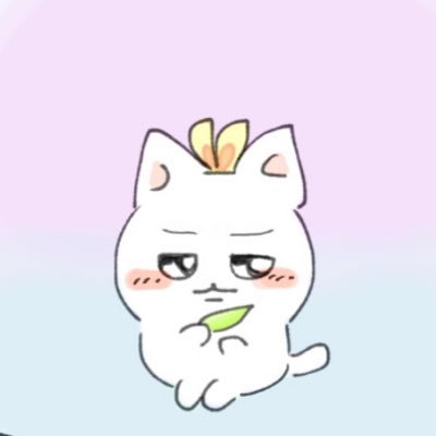 つづらめさんのプロフィール画像