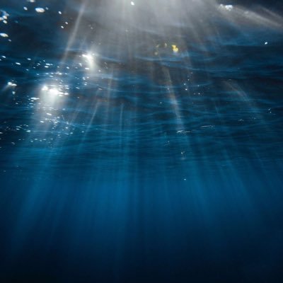 sea__nagisa's profile picture. 