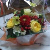 🌉友太郎(。-ω-)zzz🌉 (@xwmrv6ubuckjzsx) 's Twitter Profile Photo