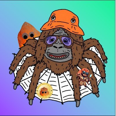 SolCryptoSpyder's profile picture. Teams, not memes.