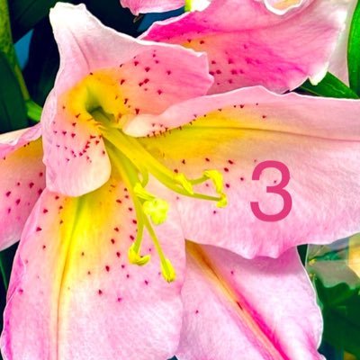 sho5_love1229's profile picture. リリィ🌸のサード垢です🥰本垢、サブ垢のRP&不定期投稿です🌸🫧💙🌊🏞🐶😸💗🍣🍜🎸🎤✈️🚃⛩🏯が好き😍#浜田省吾様Love😎💕⚠️無断転載禁止⚠️❌FF外のMentionご遠慮願います❌無言F歓迎⭕️無言F失礼します🙏RPはタグ3つまで😃仲良く🤝宜しくお願いしますね🤗🍀