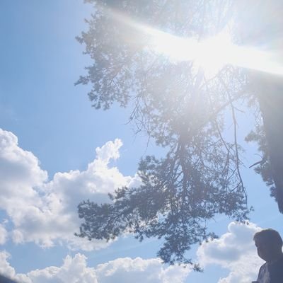 sylwiawilk174's profile picture. 