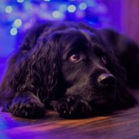 William 💙 SaveOurNHS (@william_iamiare) 's Twitter Profile Photo William 💙 SaveOurNHS (@william_iamiare) 's Twitter Profile Photo