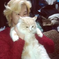 웅?? (@___pyeonjiham) Twitter profile photo