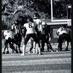 Davion D (@daviond36) Twitter profile photo Davion D (@daviond36) Twitter profile photo