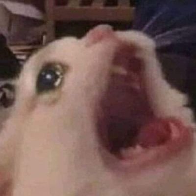 Haru_Hayama's profile picture. 🇻🇳🏳️‍🌈//:3