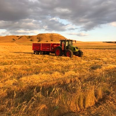 67NK06's profile picture. 