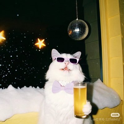 sweetiiznoo's profile picture. bkpp 💙♥️