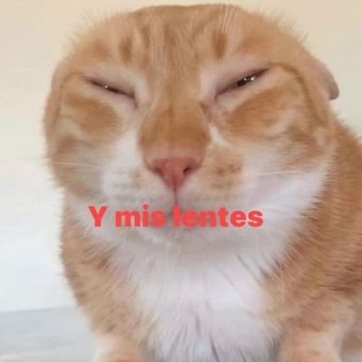 quackity789's profile picture. 