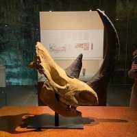 Yann | 🇺🇦 ✏️ ツ  (@naakos) 's Twitter Profile Photo