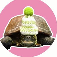 kuu (@ultrakuu) 's Twitter Profile Photo