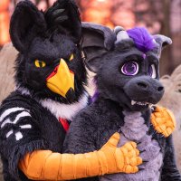SurDerg (@dergsur) 's Twitter Profile