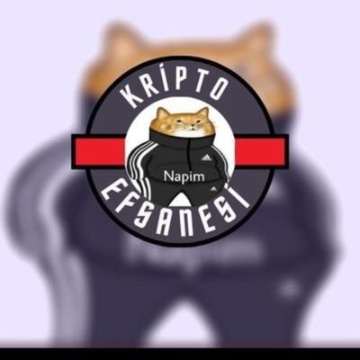 SerkannCeyhann's profile picture. 