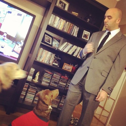 j_felt's profile picture. "Oh neat." - Me. Doctor of Physical Therapy. Some of what I say is jokes, only some of which are funny.