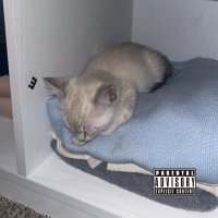 Ali (@aliezzobezzo) 's Twitter Profile Photo Ali (@aliezzobezzo) 's Twitter Profile Photo