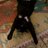 Ms_Worthington's profile image