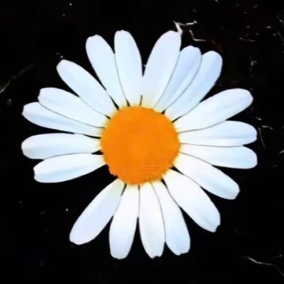 kent_klyh's profile picture. 