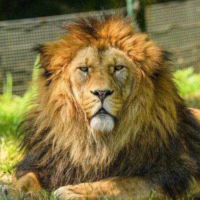 tzar_jabu's profile picture. 