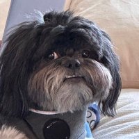 BBB (@facts_onlywwe) 's Twitter Profile Photo