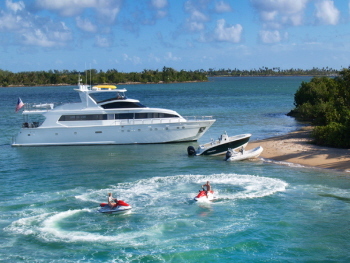 dentistcal11's profile picture. Oral Maxillofacial Surgeon