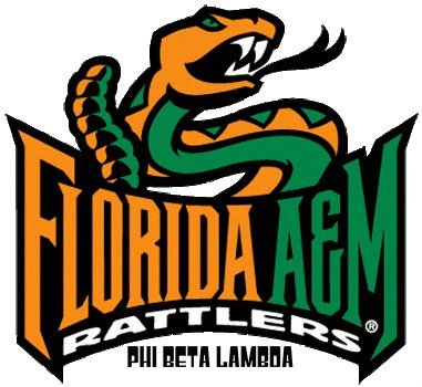 We are the Alpha Gamma chapter of Phi Beta Lambda at Florida A&M University representing the finest of Future Business Leaders of America! *Official Account*