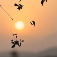 S, (@sl2657f) 's Twitter Profile Photo