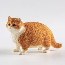 meiginalah's profile picture. POP POP!