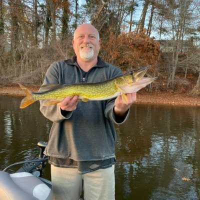 jorbradad's profile picture. 