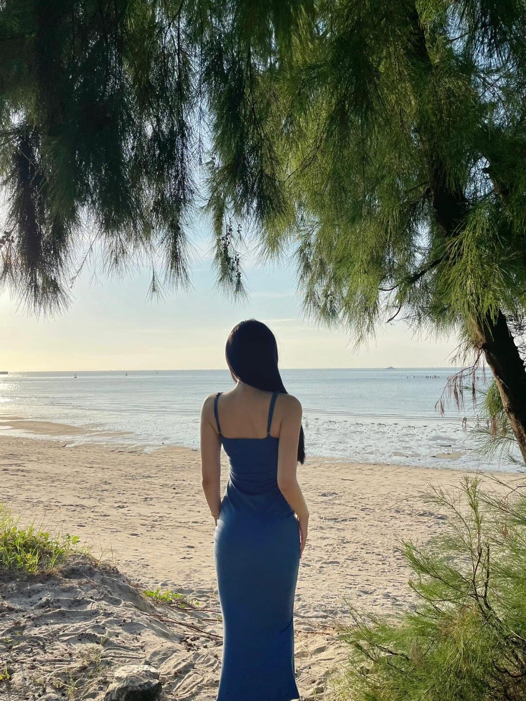 StusmeeplBdZGx's profile picture. 