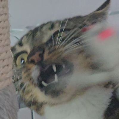 bogさんのプロフィール画像