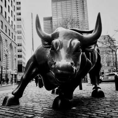 NorthMoat's profile picture. Economic ignorance has political consequences.