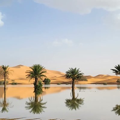 Tiktime11's profile picture. وَمُعجَبُ الوَردِ يقطفُهُ وَيَرميهِ •• أمَّا المُحِبُّ فَذاكَ الحافِظُ السَّاقي