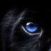 Ayban ALgabooby (@aybangaboby) Twitter profile photo Ayban ALgabooby (@aybangaboby) Twitter profile photo