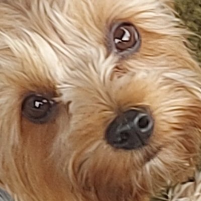 WaldemarChmiel3's profile picture. Nie polityka powinna rządzić ludźmi, lecz ludzie polityką.
#Trzaskowski2025