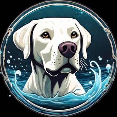 Bustersolcoin's profile picture. 