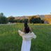 Andrian (@andrian3454) Twitter profile photo Andrian (@andrian3454) Twitter profile photo
