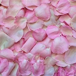 Chiaki25929819's profile picture. お金に恵まれる方法やお得な情報など発信したりしています。私自身お金に苦労した経験からお金に困窮している人を助けたいと思い、少しですが現金給付企画を実施しております☆ 支援中→ https://t.co/PCdXfjBpRs